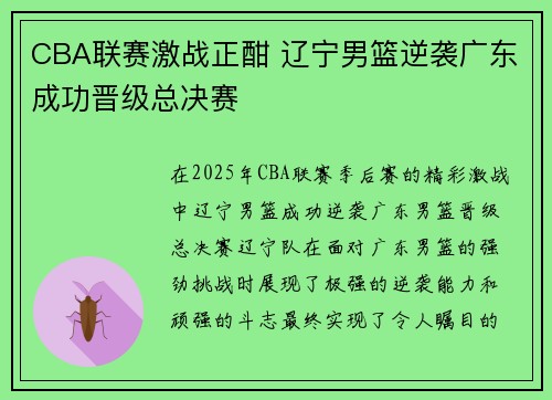 CBA联赛激战正酣 辽宁男篮逆袭广东成功晋级总决赛 CBA联赛激战正酣 辽宁男篮逆袭广东成功晋级总决赛